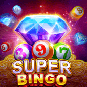 Super Bingo VIP game